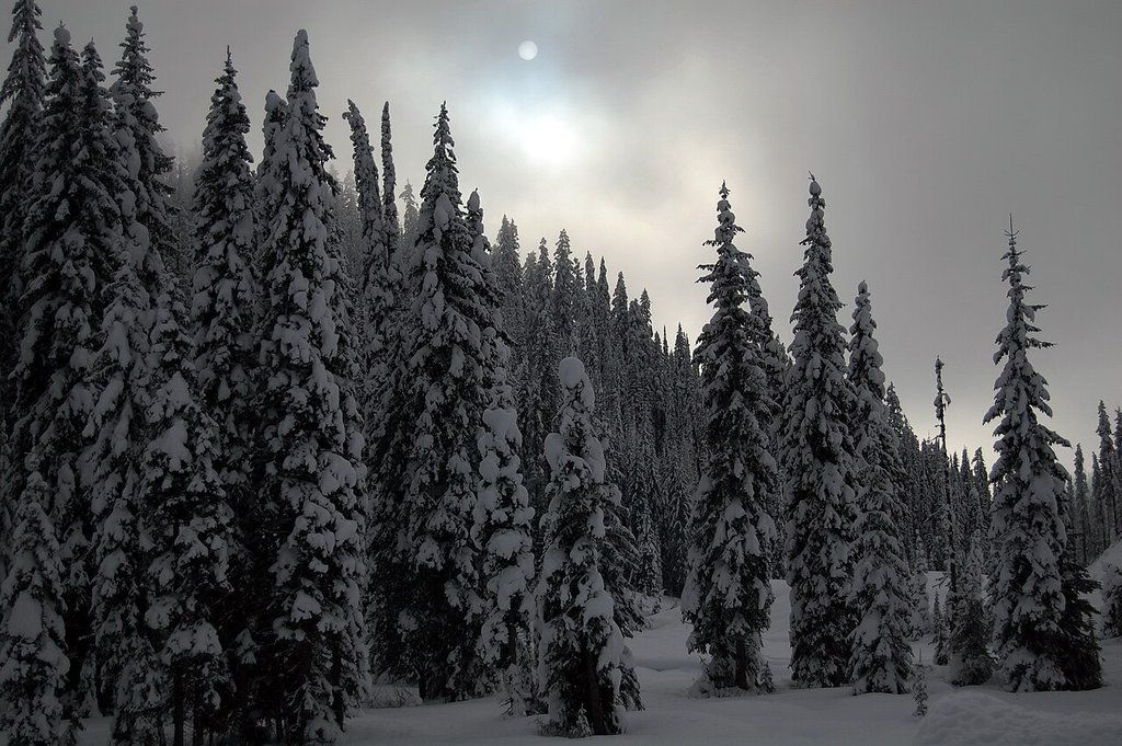 Lolo Pass in winter, Bitterroot Range