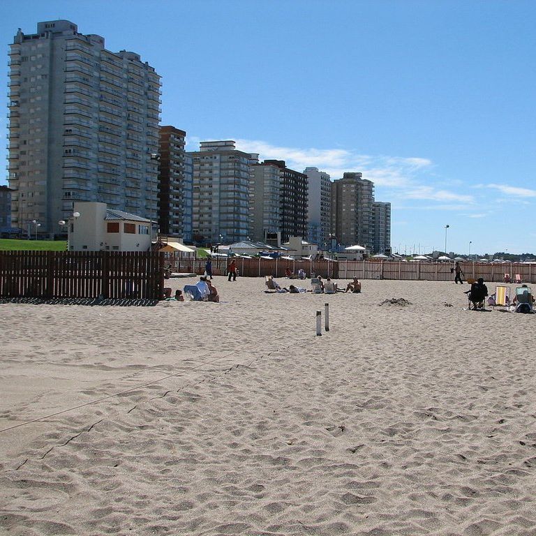 Beach at Miramar, Argentina