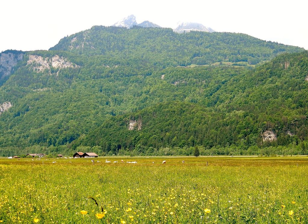 Haslital (Aare valley) near Meiringen