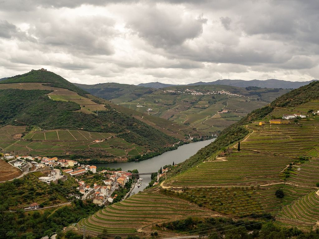 Terraced vineyards above Pinhão in the Douro Valley