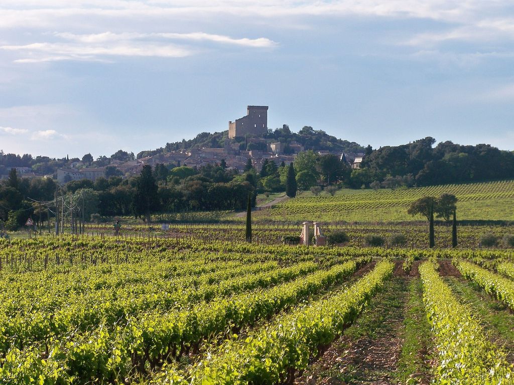 Castle ruin above the vineyards of Châteauneuf-du-Pape