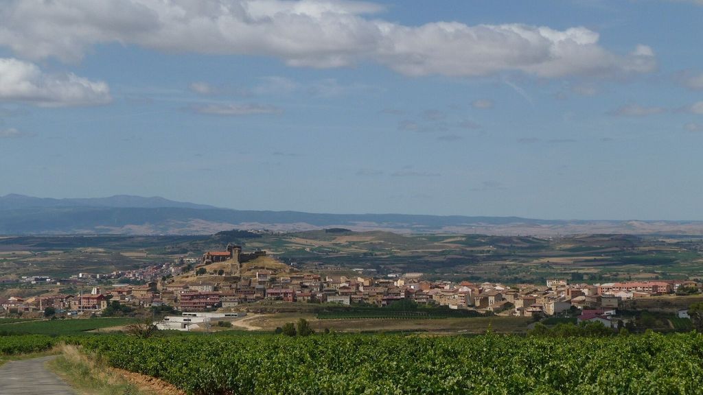 Rioja vineyards below San Vicente de la Sonsierra